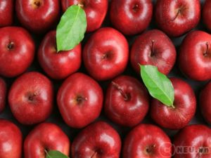 The best time for apples - Mùa tốt nhất cho táo