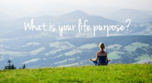 What is your purpose life?