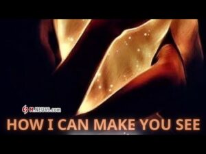 how can i make you see