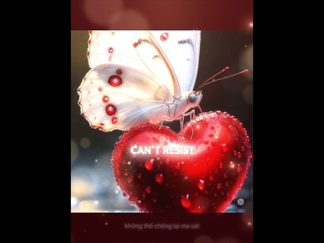 sweet addiction